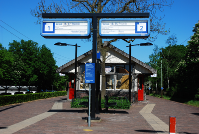 900087 Gezicht op het N.S.-station Den Dolder (Dolderseweg 148) te Den Dolder (gemeente Zeist).